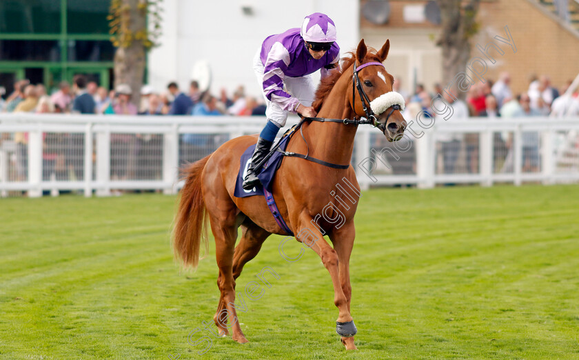 Land-Of-Eagles-0002 
 LAND OF EAGLES (William Buick)
Yarmouth 13 Sep 2022 - Pic Steven Cargill / Racingfotos.com