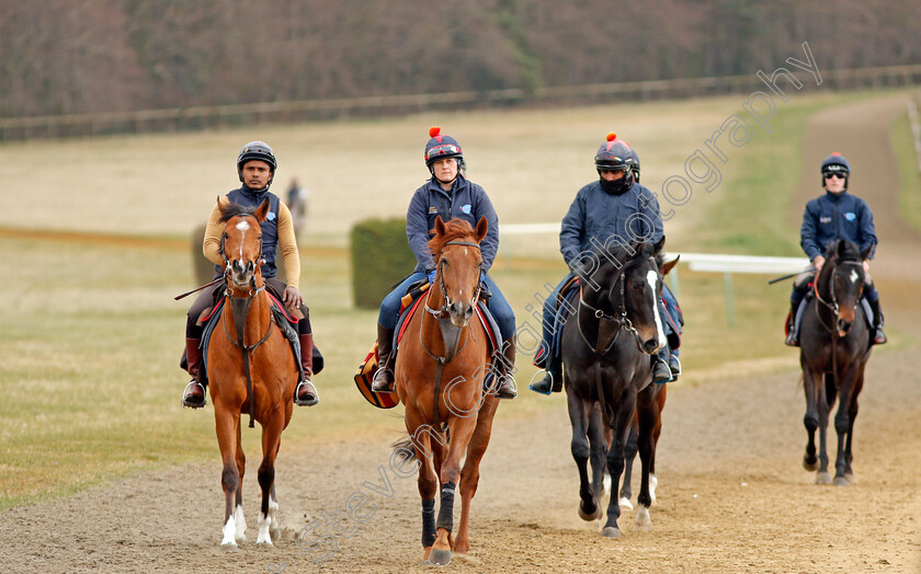 Newmarket-0011 
 A string of racehorses from David Simcock walk back to their stables after exercising on Warren Hill Newmarket 23 Mar 2018 - Pic Steven Cargill / Racingfotos.com