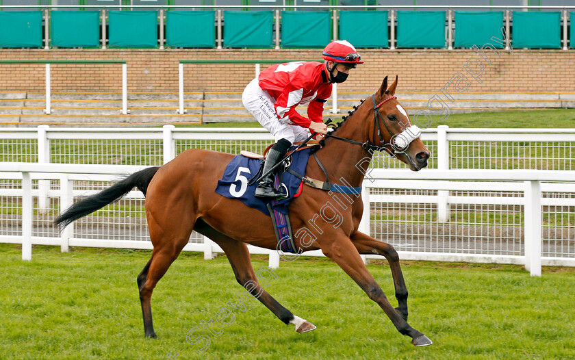 Madame-Cholet-0001 
 MADAME CHOLET (Ray Dawson)
Yarmouth 16 Sep 2020 - Pic Steven Cargill / Racingfotos.com