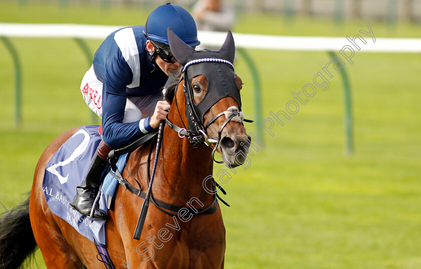 Commissioning-0001 
 COMMISSIONING (Robert Havlin) wins The Al Basti Equiworld Dubai Rockfel Stakes
Newmarket 23 Sep 2022 - Pic Steven Cargill / Racingfotos.com