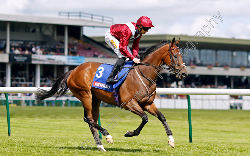 Jumby-0002 
 JUMBY (Charles Bishop)
Haydock 8 Jun 2024 - Pic Steven Cargill / Racingfotos.com