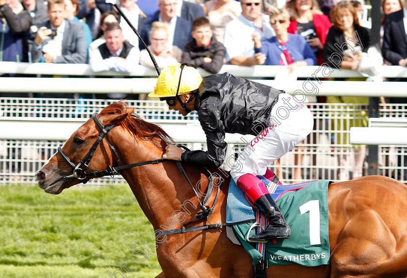 Stradivarius-0012 
 STRADIVARIUS (Frankie Dettori) wins The Weatherbys Hamilton Lonsdale Cup
York 24 Aug 2018 - Pic Steven Cargill / Racingfotos.com