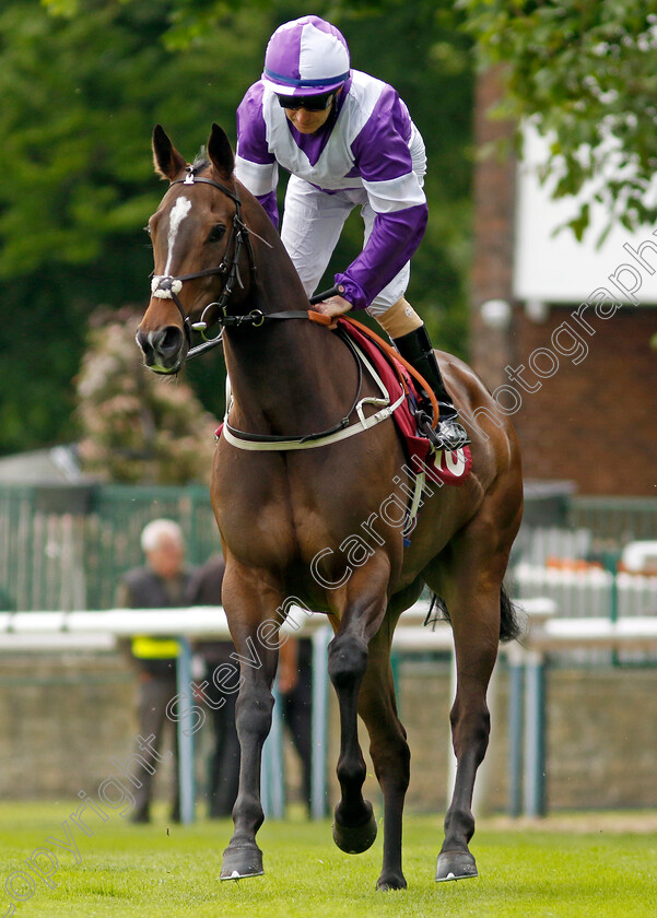 Tippy-Toes-0001 
 TIPPY TOES (Joe Fanning)
Haydock 21 May 2022 - Pic Steven Cargill / Racingfotos.com