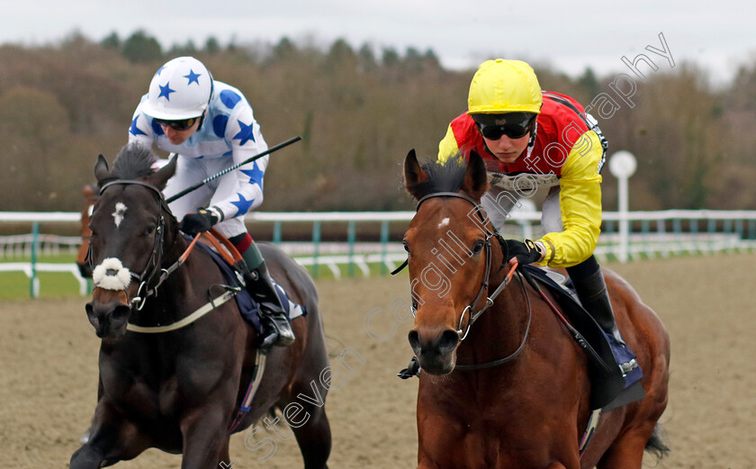 Kodiac-Thriller-0002 
 KODIAC THRILLER (William Cox) wins The BetMGM It's Showtime EBF Novice Stakes
Lingfield 23 Dec 2023 - Pic Steven Cargill / Racingfotos.com