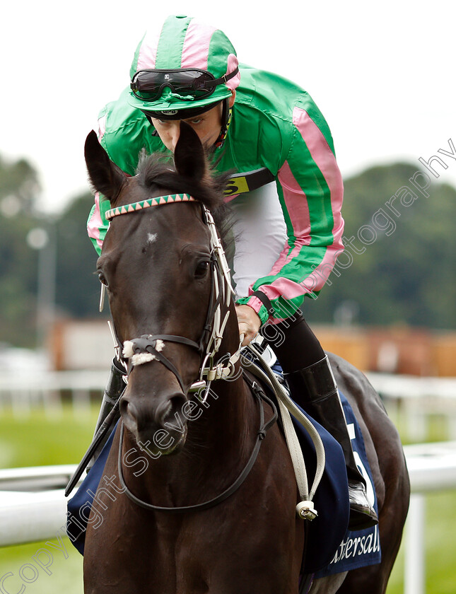 Pogo-0001 
 POGO (Callum Shepherd)
York 22 Aug 2018 - Pic Steven Cargill / Racingfotos.com