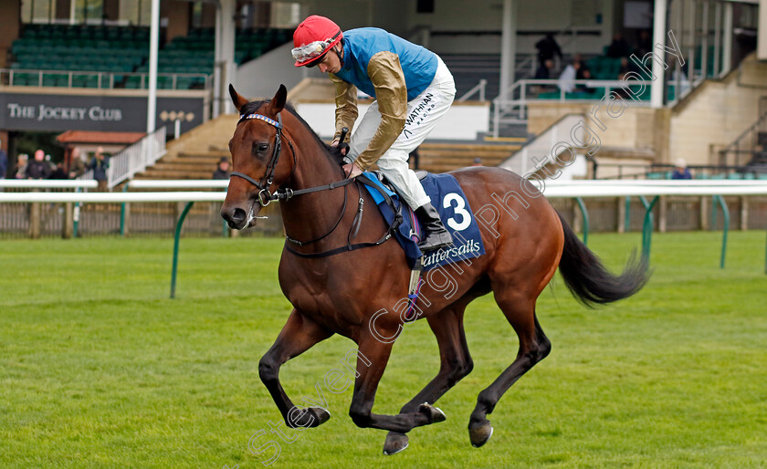 Diego-Ventura-0002 
 DIEGO VENTURA (James Doyle)
Newmarket 26 Sep 2024 - pic Steven Cargill / Racingfotos.com