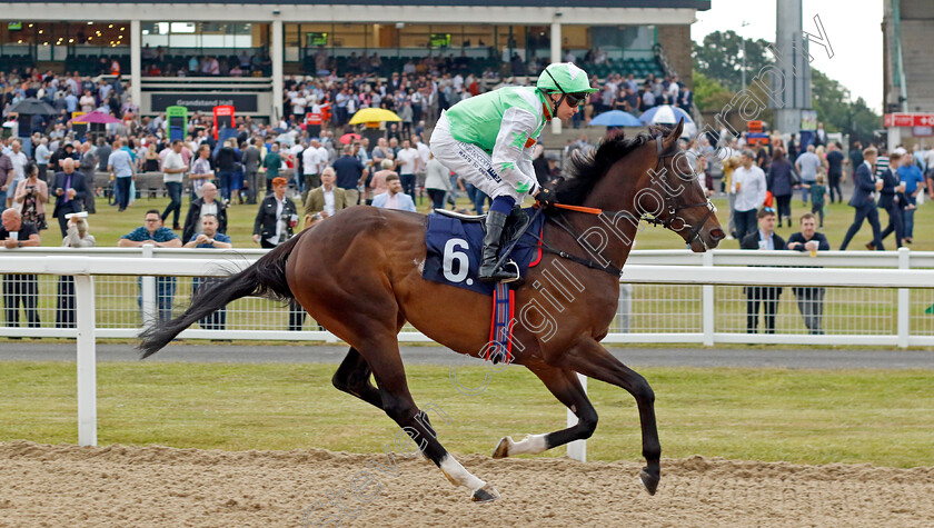 Bashful 
 BASHFUL (Andrew Mullen)
Newcastle 24 Jun 2022 - Pic Steven Cargill / Racingfotos.com