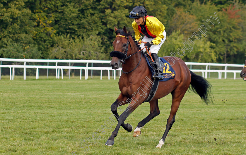 Virginia-Storm-0001 
 VIRGINIA STORM (Per-Anders Graberg)
Bro Park 18 Sep 2022 - Pic Steven Cargill / Racingfotos.com