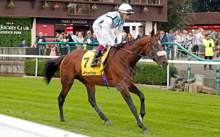 Contacto-0001 
 CONTACTO (Oisin Murphy)
Haydock 7 Sep 2024 - Pic Steven Cargill / Racingfotos.com