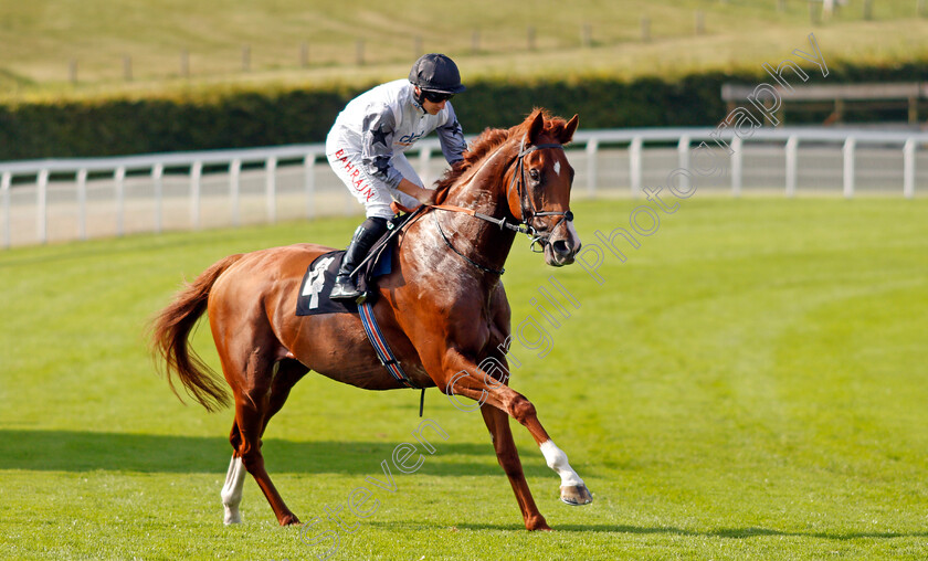 Tyson-Fury-0001 
 TYSON FURY (Tom Marquand)
Goodwood 22 Sep 2021 - Pic Steven Cargill / Racingfotos.com