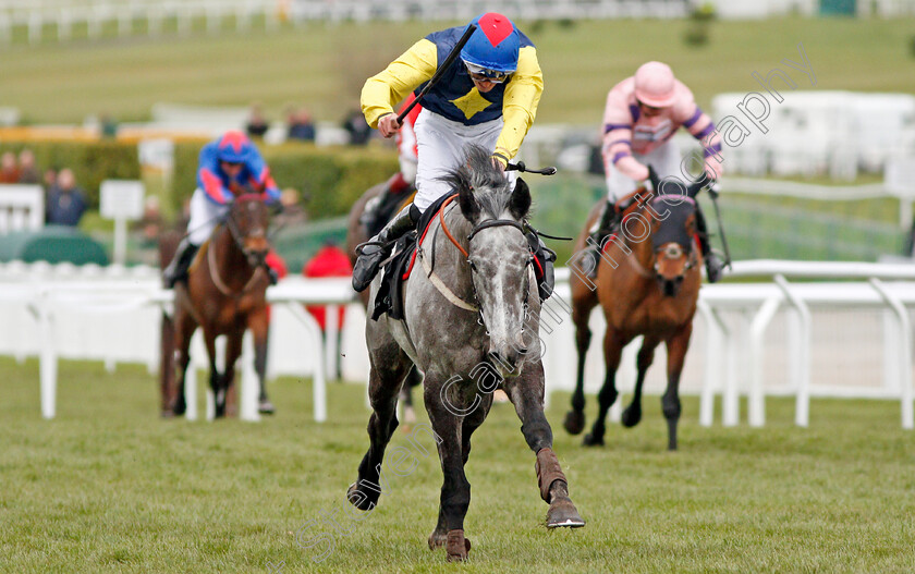 Guitar-Pete-0001 
 GUITAR PETE (Ryan Day) wins The Caspian Caviar Gold Cup Cheltenham 16 Dec 2017 - Pic Steven Cargill / Racingfotos.com