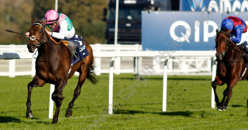 Kalpana-0010 
 KALPANA (William Buick) wins The Qipco British Champions Fillies & Mares Stakes
Ascot 19 Oct 2024 - Pic Steven Cargill / Racingfotos.com