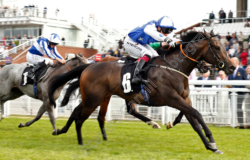 Princess-Power-0003 
 PRINCESS POWER (Andrew Mullen) wins The Racegoers Club 50th Anniversary Fillies Nursery
Goodwood 4 Sep 2018 - Pic Steven Cargill / Racingfotos.com