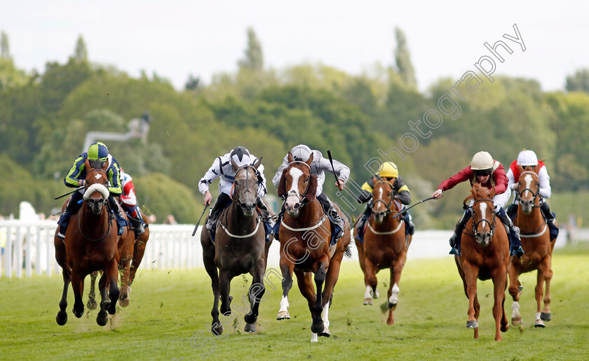 Last-Crusader-0003 
 LAST CRUSADER (centre, Daniel Tudhope) wins The British Stallion Studs EBF Westow Stakes
York 12 May 2022 - Pic Steven Cargill / Racingfotos.com