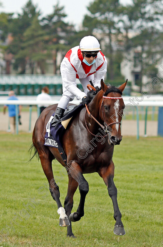 Port-Guillaume-0002 
 PORT GUILLAUME (C Demuro) before winning The Prix Hocquart
Deauville 8 Aug 2020 - Pic Steven Cargill / Racingfotos.com