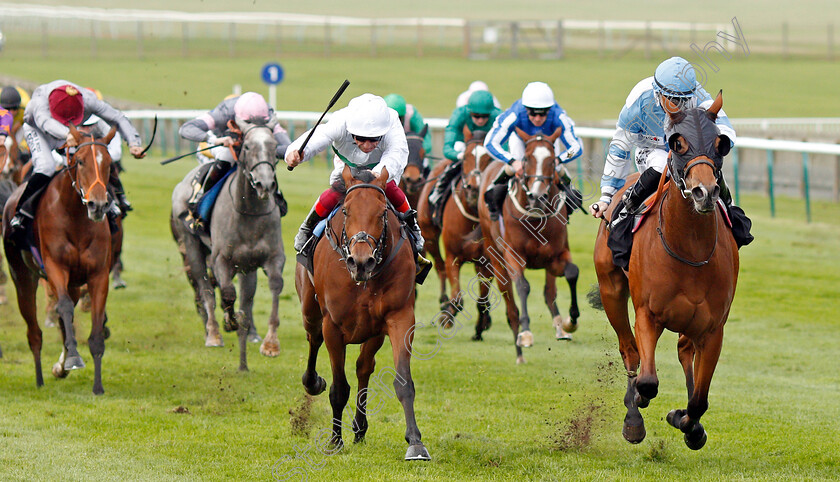 Chamade-0001 
 CHAMADE (right, Richard Kingscote) beats MOSTLY (left) in The Allicare Fillies Novice Median Auction Stakes
Newmarket 23 Oct 2019 - Pic Steven Cargill / Racingfotos.com