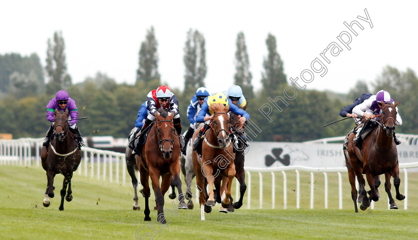 Sir-Dancealot-0001 
 SIR DANCEALOT (2nd left, Gerald Mosse) beats BRETON ROCK (right) and DREAM OF DREAMS (2nd right) in The Ladyswood Stud Hungerford Stakes
Newbury 18 Aug 2018 - Pic Steven Cargill / Racingfotos.com