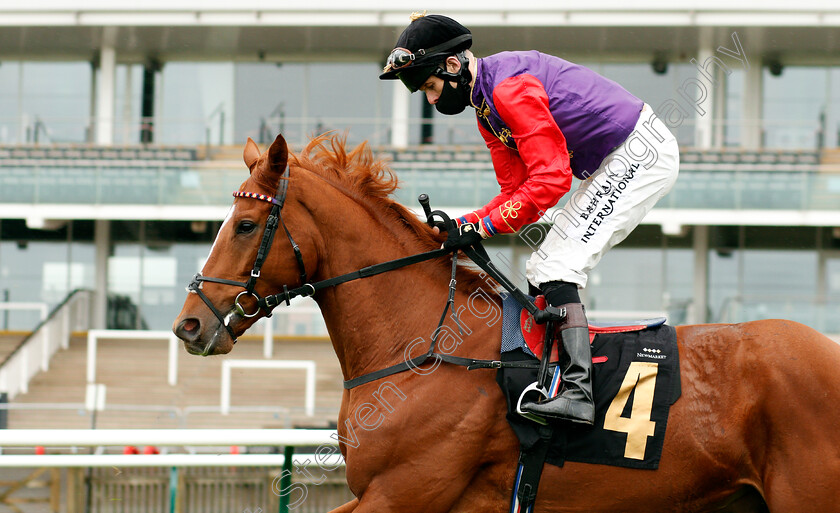 Pied-Piper-0001 
 PIED PIPER (Robert Havlin) winner of The Rossdales Laboratories Maiden Stakes
Newmarket 21 Oct 2020 - Pic Steven Cargill / Racingfotos.com