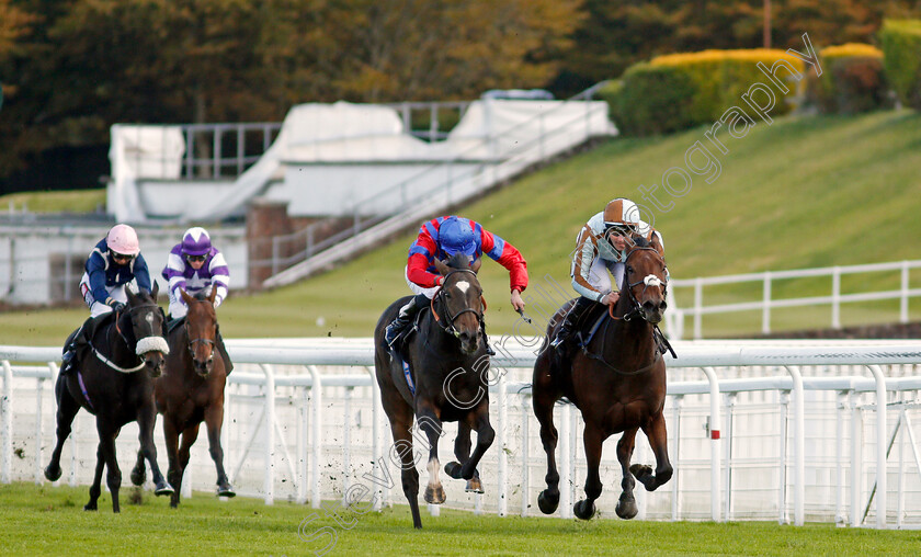 Land-Of-Winter-0001 
 LAND OF WINTER (centre, James Doyle) beats CAYIRLI (right) in The Download The tote Placepot App Handicap
Goodwood 11 Oct 2020 - Pic Steven Cargill / Racingfotos.com