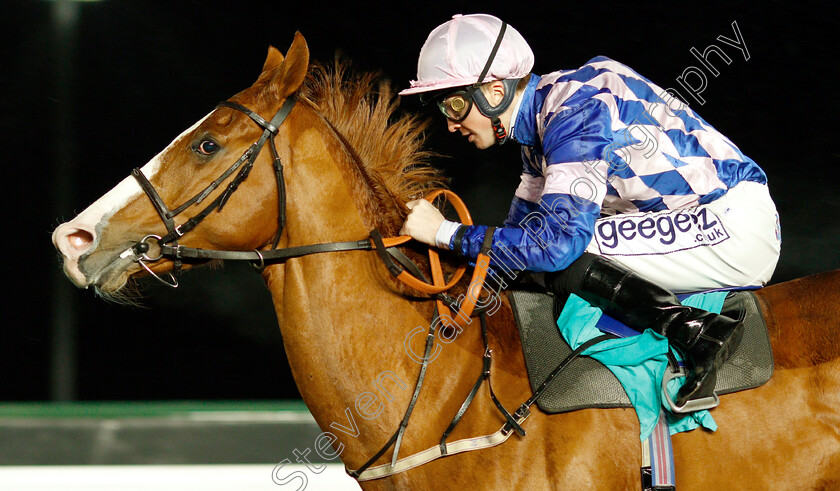 Target-Zone-0004 
 TARGET ZONE (David Probert) wins The 32Red On The App Store Maiden Stakes
Kempton 16 Jan 2019 - Pic Steven Cargill / Racingfotos.com