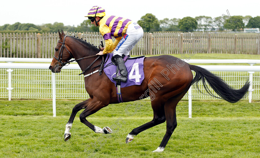 Noble-Prospector-0001 
 NOBLE PROSPECTOR (Paul Hanagan)
Beverley 29 May 2019 - Pic Steven Cargill / Racingfotos.com