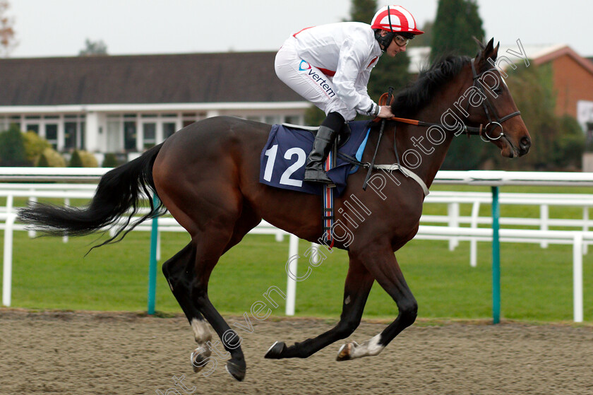 Water s-Edge-0001 
 WATER'S EDGE (P J McDonald)
Lingfield 20 Nov 2018 - Pic Steven Cargill / Racingfotos.com