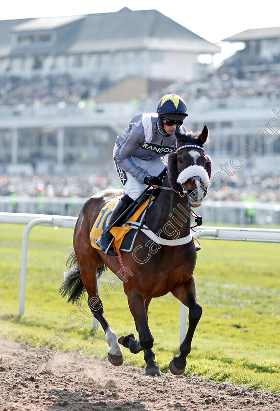 Thomas-Campbell-0001 
 THOMAS CAMPBELL (Nico de Boinville) Aintree 14 Apr 2018 - Pic Steven Cargill / Racingfotos.com