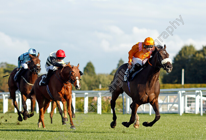 Rajinksy-0003 
 RAJINSKY (Pierre-Louis Jamin) wins The 25 Years Since Frankie's Magnificent Seven Handicap
Ascot 1 Oct 2021 - Pic Steven Cargill / Racingfotos.com