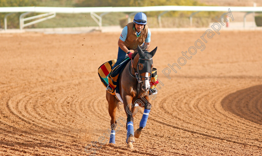 Capezzano-0001 
 CAPEZZANO preparing for The Saudi Cup
Riyadh Racetrack, Kingdom Of Saudi Arabia, 27 Feb 2020 - Pic Steven Cargill / Racingfotos.com