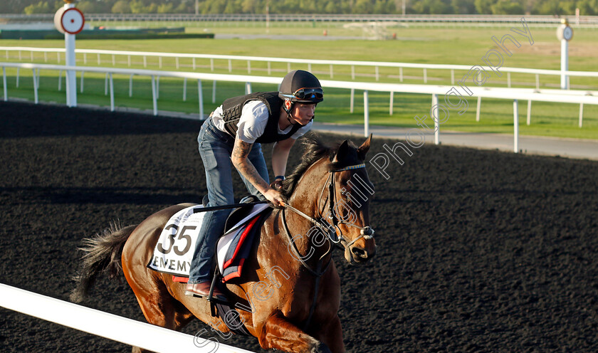 Enemy-0001 
 ENEMY training at the Dubai World Cup Carnival
Meydan 5 Jan 2023 - Pic Steven Cargill / Racingfotos.com