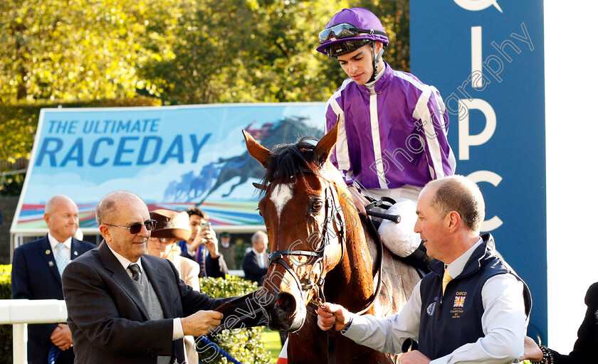 Magical-0012 
 MAGICAL (Donnacha O'Brien) after The Qipco Champion Stakes
Ascot 19 Oct 2019 - Pic Steven Cargill / Racingfotos.com