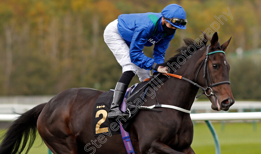 Kalma-0002 
 KALMA (Hector Crouch)
Nottingham 14 Oct 2020 - Pic Steven Cargill / Racingfotos.com