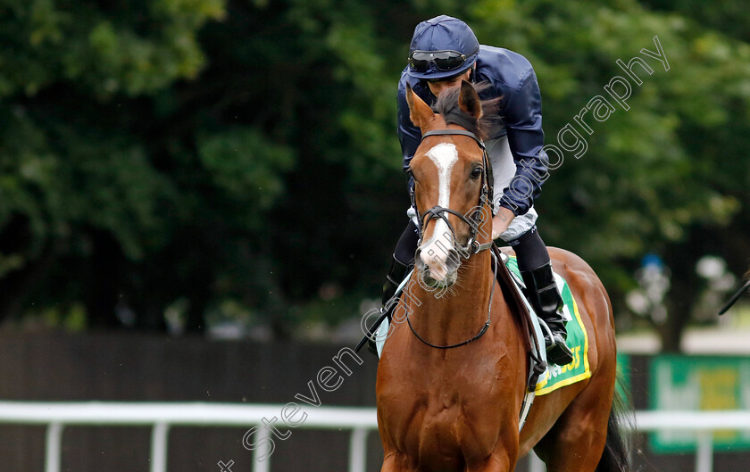 Chantilly-0001 
 CHANTILLY (Ryan Moore)
Newmarket 12 Jul 2024 - Pic Steven Cargill / Racingfotos.com