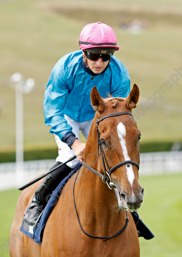 Many-A-Star-0002 
 MANY A STAR (Tom Marquand)
Goodwood 27 Aug 2022 - Pic Steven Cargill / Racingfotos.com