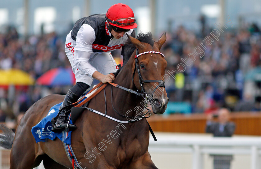 Bartzella-0008 
 BARTZELLA (Tom Marquand) wins The Troy Asset Management Novice Stakes
Ascot 1 Oct 2021 - Pic Steven Cargill / Racingfotos.com