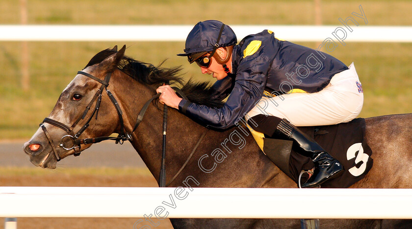 Ghaziyah-0007 
 GHAZIYAH (James Doyle) wins The Budweiser Brewing Group Novice Stakes Div2
Chelmsford 23 Jul 2019 - Pic Steven Cargill / Racingfotos.com