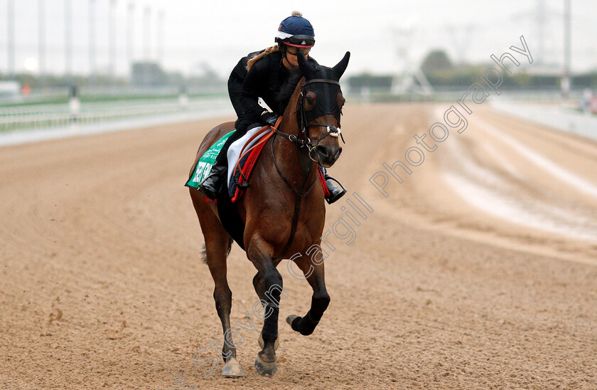 Desert-Encounter-0001 
 DESERT ENCOUNTER training for The Dubai Sheema Classic
Meydan 28 Mar 2019 - Pic Steven Cargill / Racingfotos.com