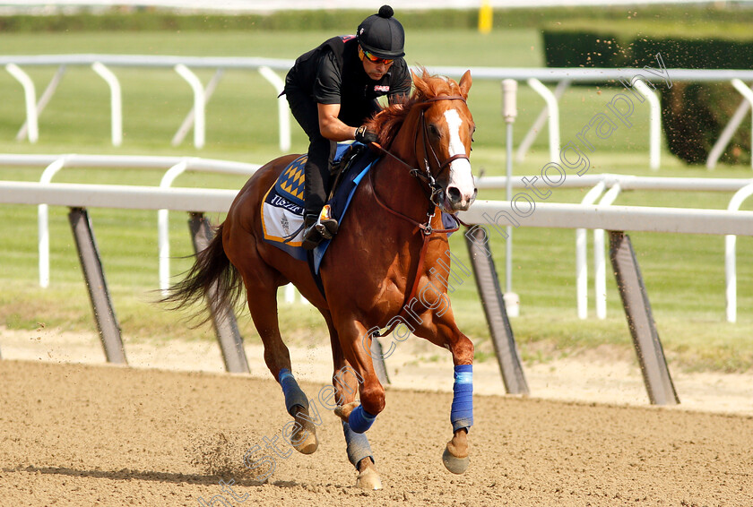 Justify-0006 
 JUSTIFY exercising in preparation for The Belmont Stakes
Belmont Park 8 Jun 2018 - Pic Steven Cargill / Racingfotos.com