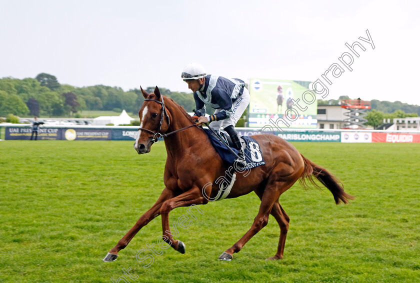 Supercooled-0001 
 SUPERCOOLED (Stephane Pasquier)
Longchamp 12 May 2024 - Pic Steven Cargill / Racingfotos.com