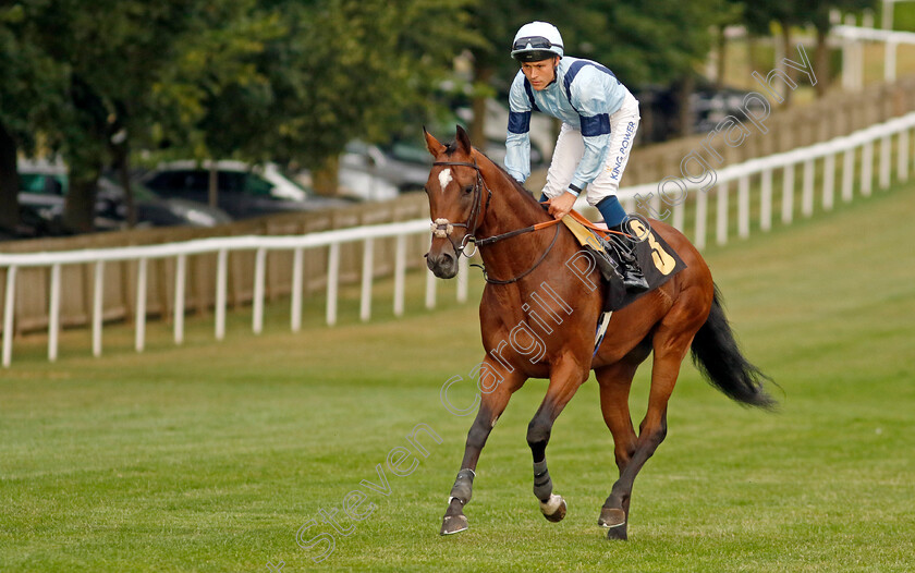 Noble-Run-0001 
 NOBLE RUN (William Carver)
Newmarket 22 Jul 2022 - Pic Steven Cargill / Racingfotos.com