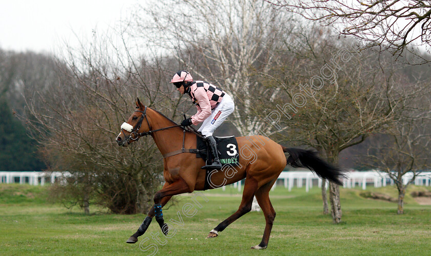 Sensulano-0003 
 SENSULANO (Barry Geraghty)
Sandown 5 Jan 2019 - Pic Steven Cargill / Racingfotos.com