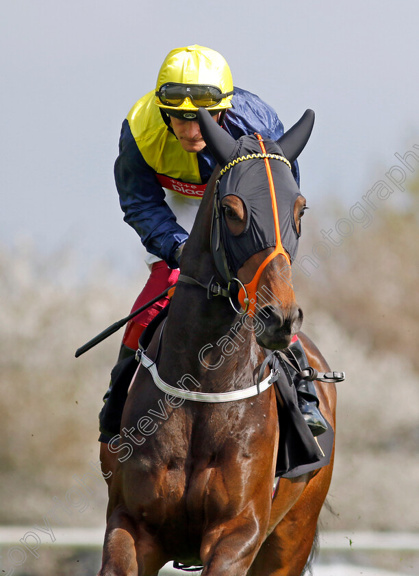 Point-Lynas-0002 
 POINT LYNAS (Callum Rodriguez)
Newmarket 18 Apr 2023 - Pic Steven Cargill / Racingfotos.com