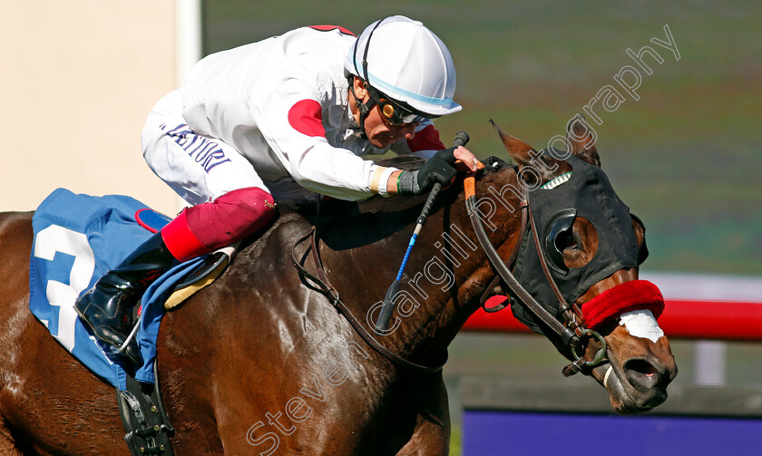 Just-Nails-0001 
 JUST NAILS (Frankie Dettori)
Del Mar USA 1 Nov 2024 - Pic Steven Cargill / Racingfotos.com