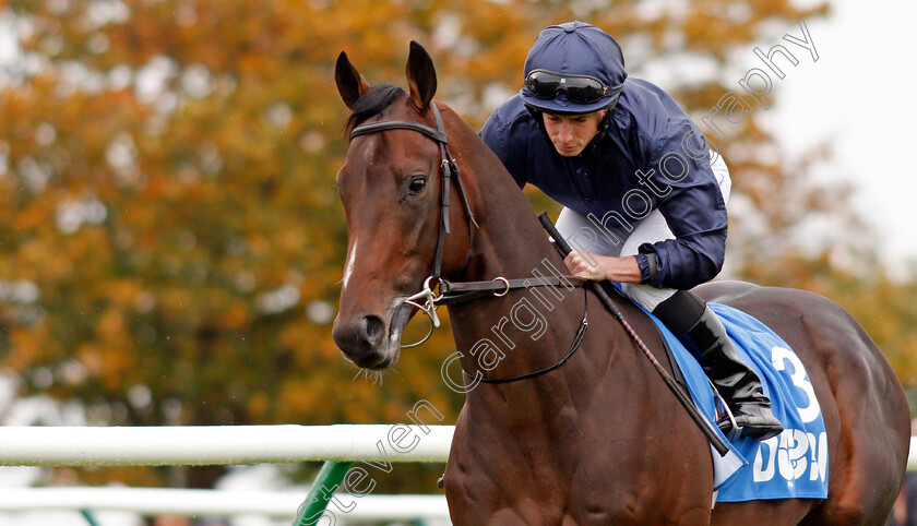 Mythical-0002 
 MYTHICAL (Ryan Moore)
Newmarket 12 Oct 2019 - Pic Steven Cargill / Racingfotos.com