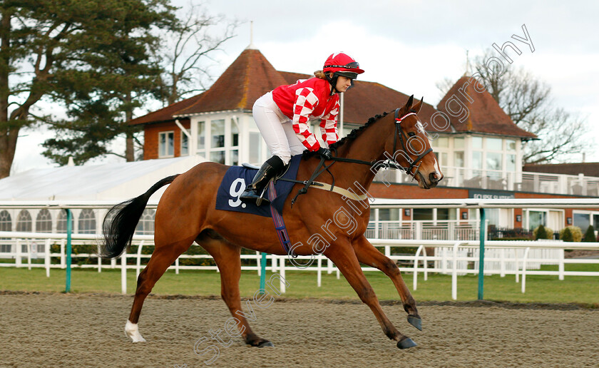 Barnsdale-0001 
 BARNSDALE (Megan Ellingworth) Lingfield 10 Jan 2018 - Pic Steven Cargill / Racingfotos.com