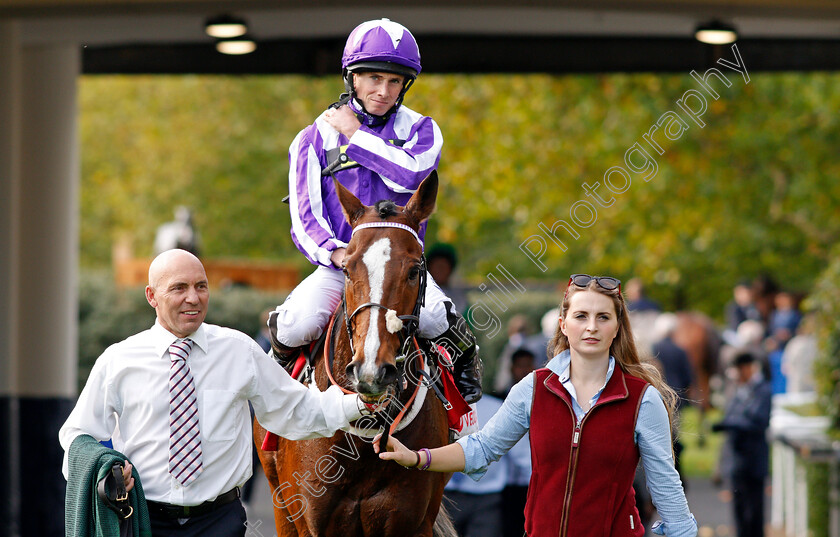 Shady-McCoy-0008 
 SHADY MCCOY (Ryan Moore) after The Veolia Handicap Ascot 6 Oct 2017 - Pic Steven Cargill / Racingfotos.com