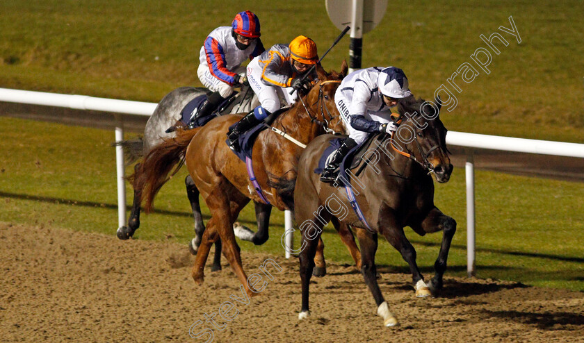 Repertoire-0002 
 REPERTOIRE (Jamie Spencer) wins The Bombardier Novice Stakes
Wolverhampton 1 Feb 2021 - Pic Steven Cargill / Racingfotos.com