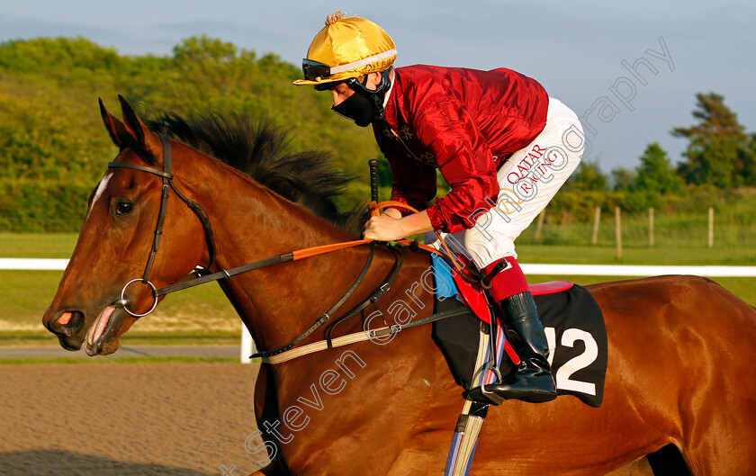 Swoon-0001 
 SWOON (Cieren Fallon)
Chelmsford 3 Jun 2021 - Pic Steven Cargill / Racingfotos.com