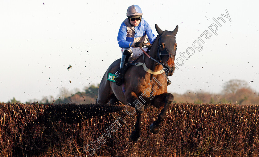 Aintree-My-Dream-0001 
 AINTREE MY DREAM (Paddy Brennan)
Ascot 18 Jan 2020 - Pic Steven Cargill / Racingfotos.com