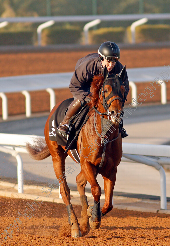 Sekifu-0001 
 SEKIFU training for The Saudi Derby
King Abdulaziz Racetrack, Riyadh, Saudi Arabia 22 Feb 2022 - Pic Steven Cargill / Racingfotos.com